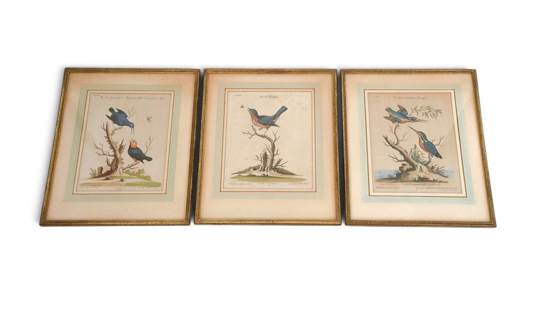 Antique Bird Engravings (Set of 3)