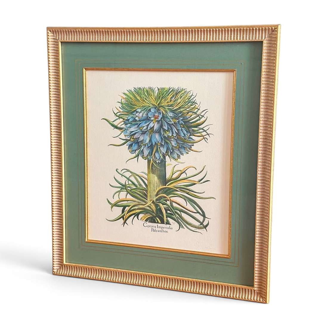 Vintage Botanical Prints