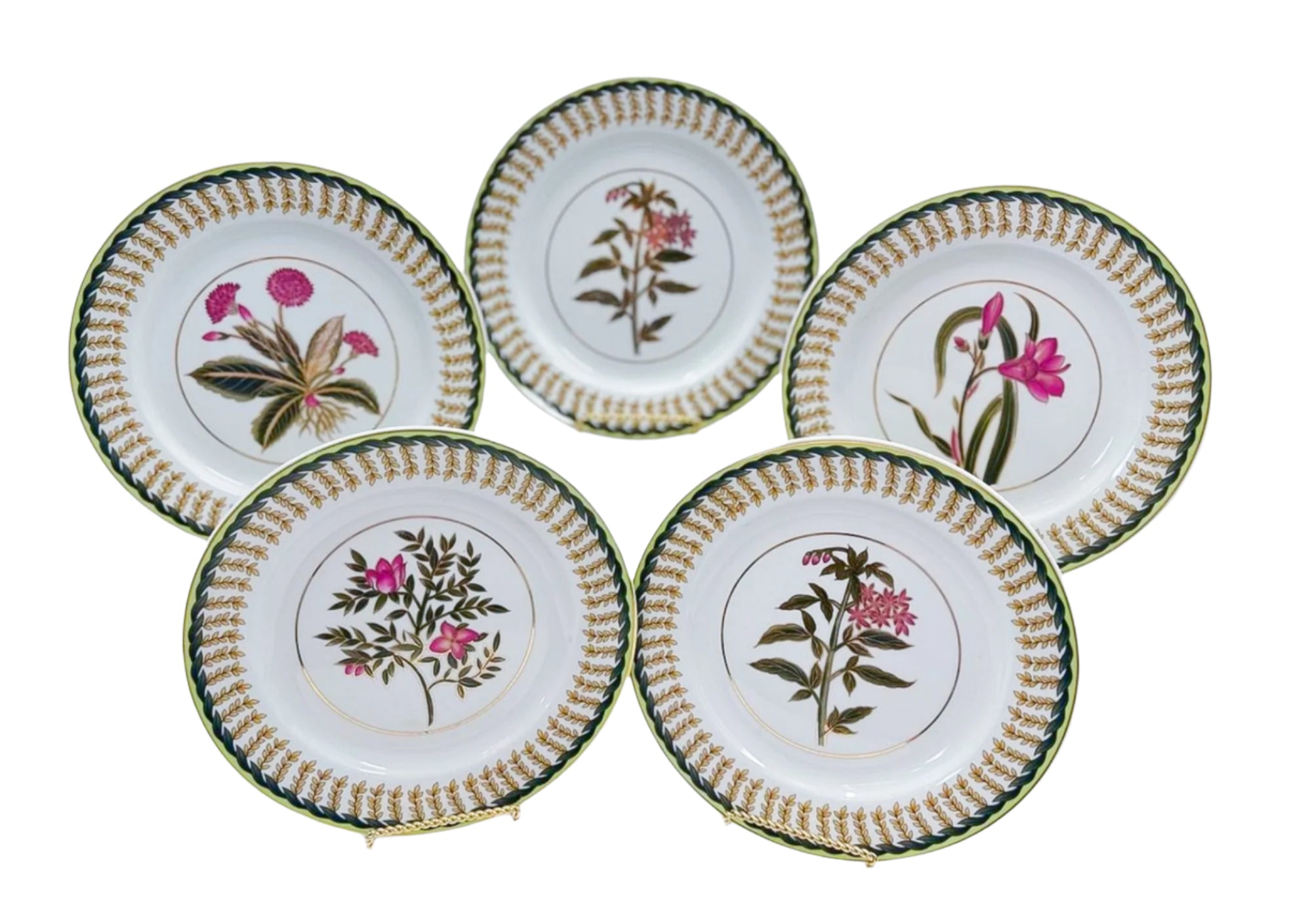 Vintage Botanical Dinner Plates (Set of 5)