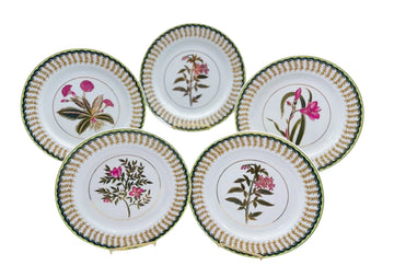Vintage Botanical Dinner Plates (Set of 5)