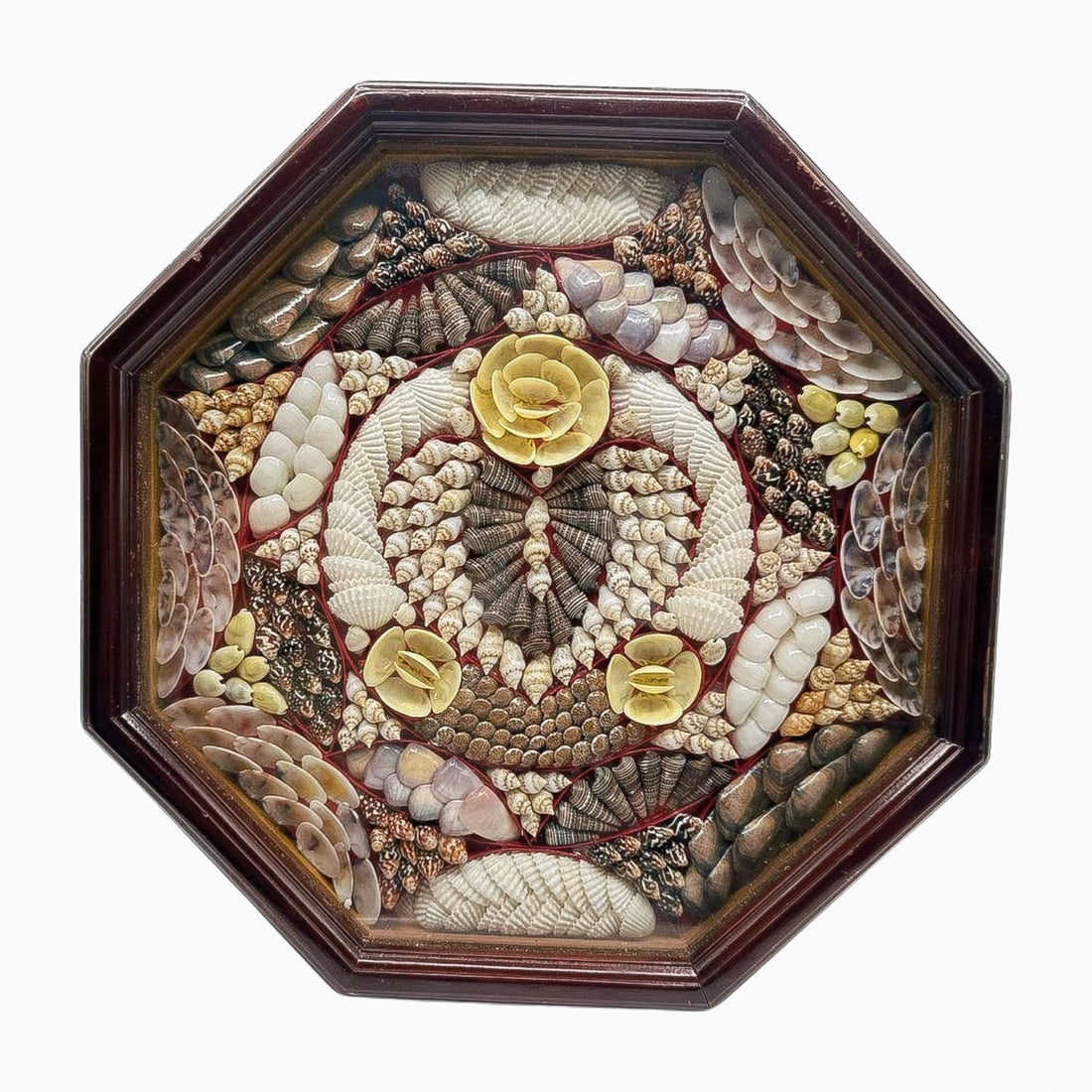 Antique Sailor’s Valentine Shellwork in Octagonal Wooden Case