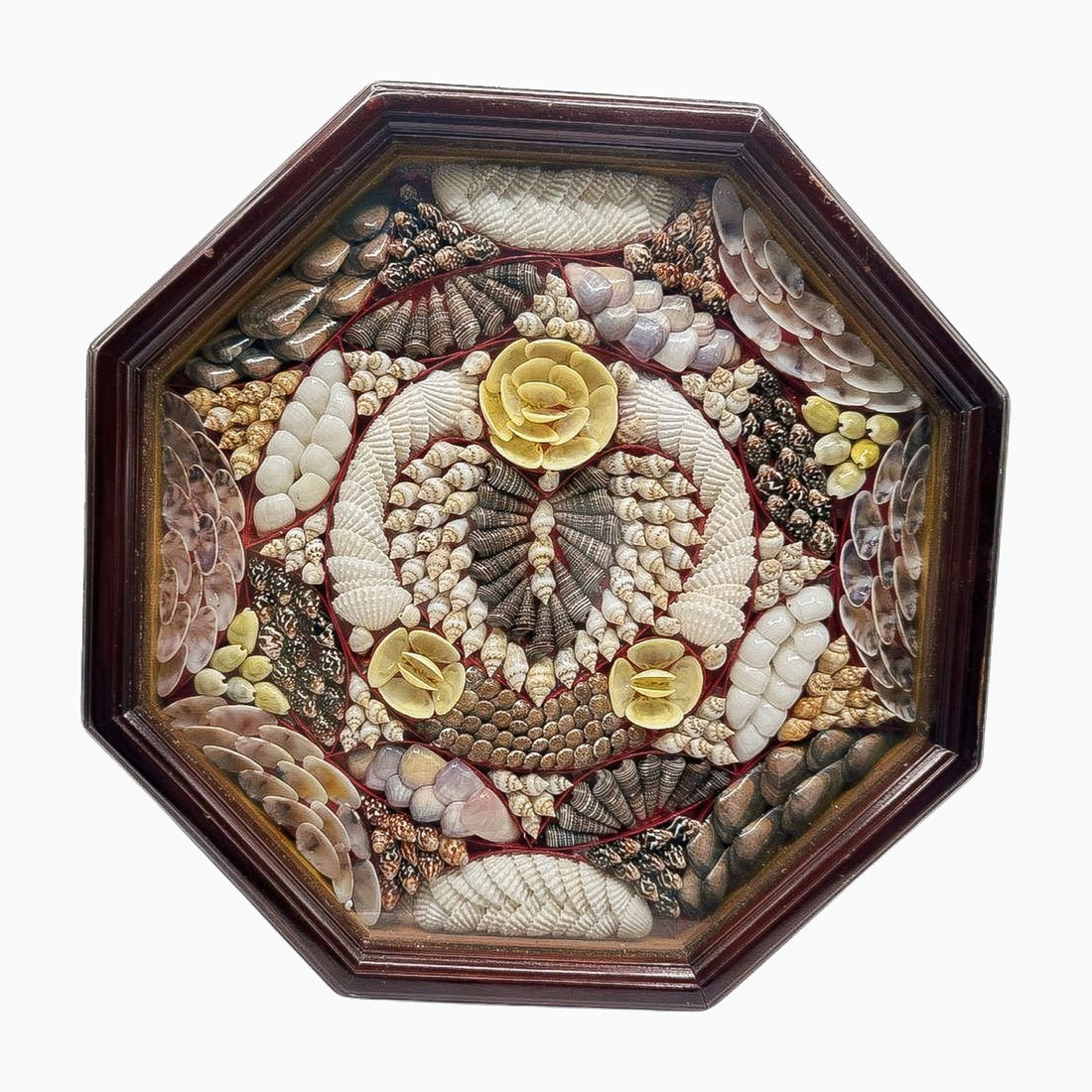 Antique Sailor’s Valentine Shellwork in Octagonal Wooden Case